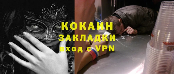 стаф Аркадак