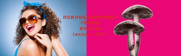 стаф Аркадак