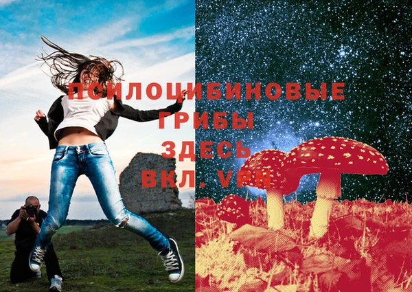 прущая мука Пестово