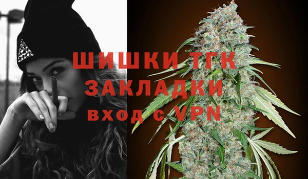соль ск Арсеньев
