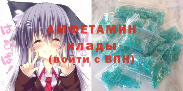 стаф Аркадак