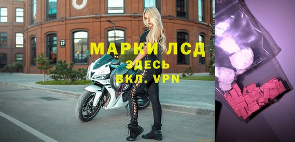 стаф Аркадак