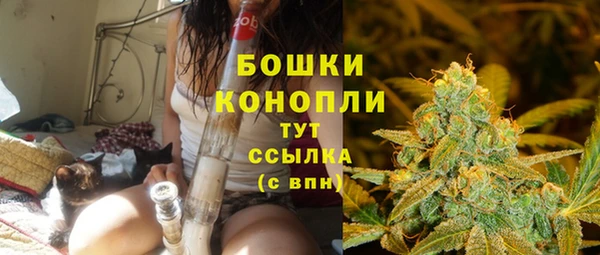 соль ск Арсеньев